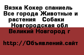 Вязка Кокер спаниель - Все города Животные и растения » Собаки   . Новгородская обл.,Великий Новгород г.